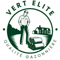 Vert Elite