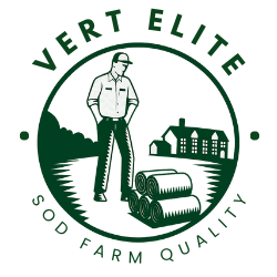 Vert Elite